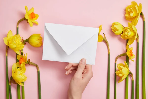 Vista cortada da mão feminina com envelope branco, e narcisos amarelos em rosa — Fotografia de Stock