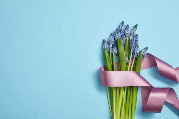 Draufsicht auf blaue Hyazinthen mit violettem Satinband auf blauem Hintergrund — Stockfoto