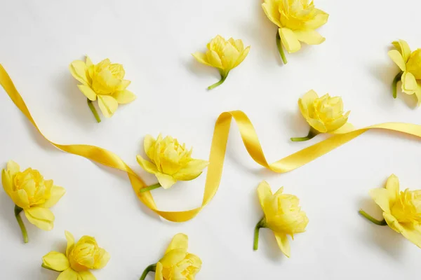 Vista superior de flores narcisas amarillas y cinta de satén amarillo sobre blanco - foto de stock