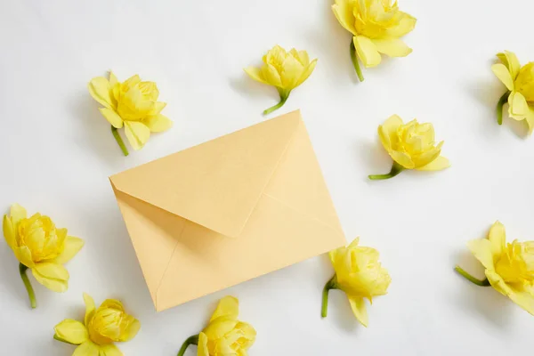 Top view of yellow narcissus flowers and yellow envelope on white — Stock Photo