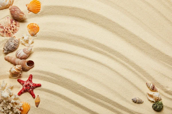 Vue de dessus des coquillages, des étoiles de mer rouges et des coraux sur la plage de sable — Photo de stock