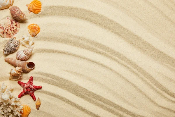 Pose plate de coquillages, étoiles de mer rouges et coraux sur une plage de sable fin — Photo de stock