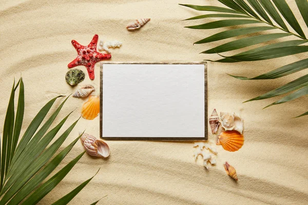 Vue de dessus des feuilles vertes près de la plaque vierge et des coquillages sur la plage de sable — Photo de stock