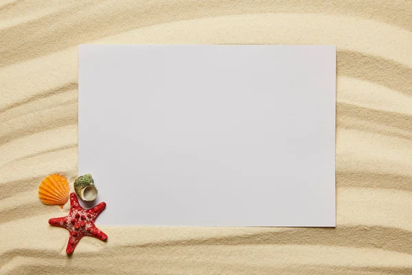 Cartel en blanco cerca de estrellas de mar rojas y conchas en la playa de arena en verano - foto de stock