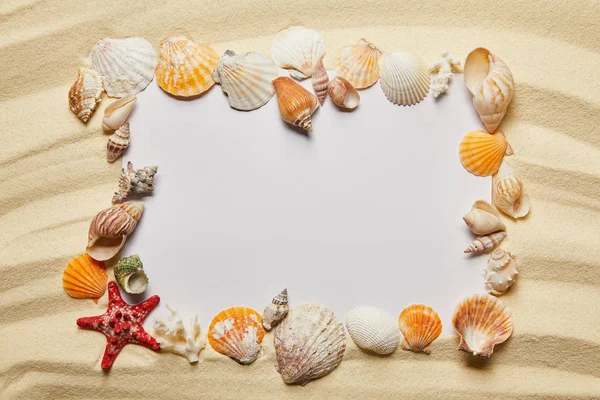Marco de conchas marinas cerca de pancarta en blanco en la playa de arena - foto de stock