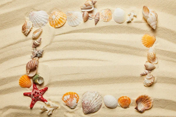 Vista superior del marco con conchas de mar estrellas de mar y corales en la playa de arena - foto de stock