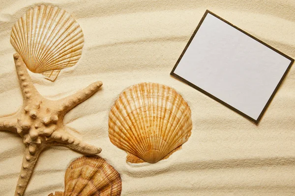 Cartello bianco vicino a conchiglie arancioni e stelle marine sulla spiaggia di sabbia in estate — Foto stock