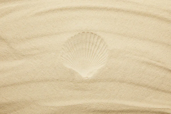 Vista superior da praia arenosa com impressão em concha no verão — Fotografia de Stock