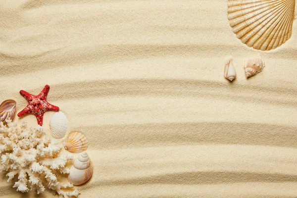 Vue de dessus de l'étoile de mer rouge, des coquillages et du corail blanc sur la plage de sable en été — Photo de stock