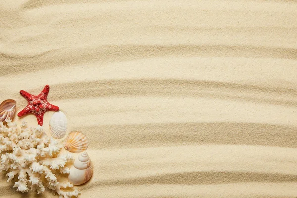 Vista superior de estrelas do mar, conchas e coral branco na praia de areia no verão — Fotografia de Stock