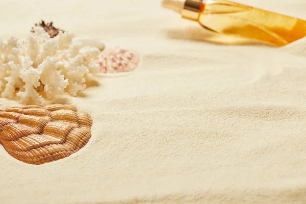 Селективний фокус черепашки біля білого коралу та пляшки з олією на піску — Stock Photo
