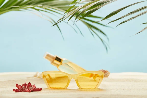 Hojas de palma verde cerca de estrellas de mar rojas, gafas de sol amarillas y botella con aceite bronceador en arena aislada en azul - foto de stock