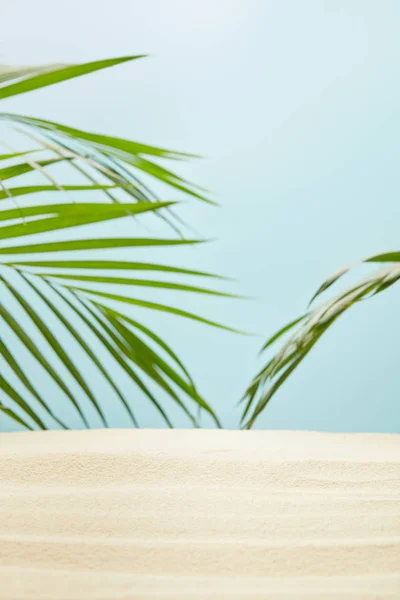 Enfoque selectivo de la playa de arena dorada cerca de hojas de palma verde en azul - foto de stock
