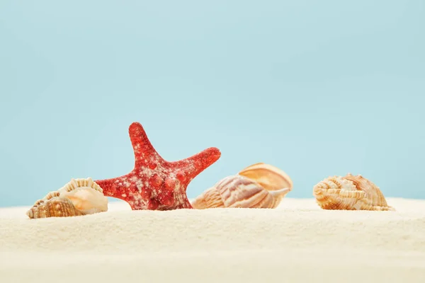 Selective focus of red starfish and seashells on sandy beach isolated on blue — Stock Photo