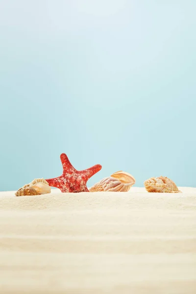 Selektiver Fokus roter Seesterne in der Nähe von Muscheln am Sandstrand isoliert auf blauem Grund — Stockfoto