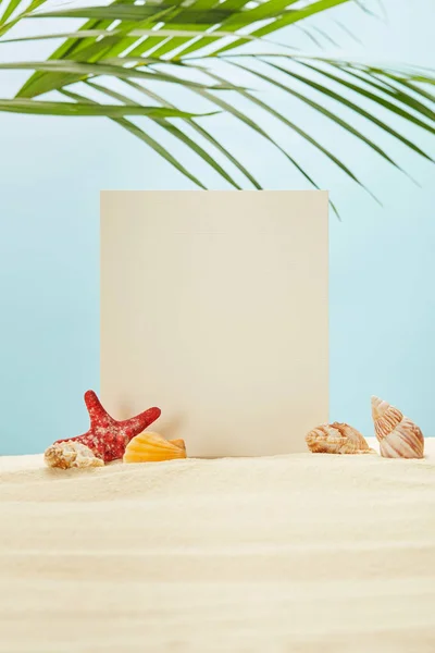 Enfoque selectivo de pancartas en blanco, estrellas de mar y conchas marinas en la arena cerca de hojas de palma verde en azul - foto de stock