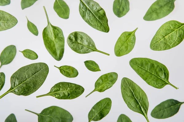 Fresh green spinach leaves on grey background — Stock Photo