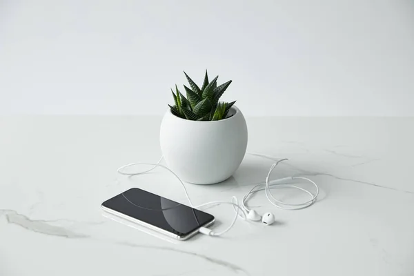Smartphone con auriculares conectados y maceta aislada en gris - foto de stock
