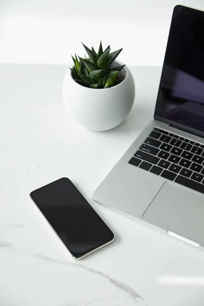 Maceta, portátil y teléfono inteligente con pantalla en blanco en la superficie blanca - foto de stock