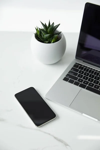 Vaso de flores, laptop e smartphone com tela em branco na superfície branca — Fotografia de Stock