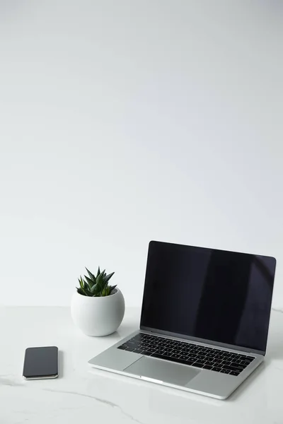 Laptop with blank screen, smartphone and flowerpot isolated on grey — Stock Photo