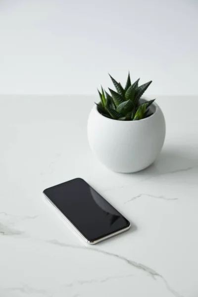 Smartphone mit leerem Bildschirm und Blumentopf isoliert auf grau — Stockfoto