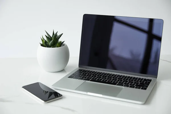 Laptop and smartphone with blank screen, and flowerpot isolated on grey — Stock Photo