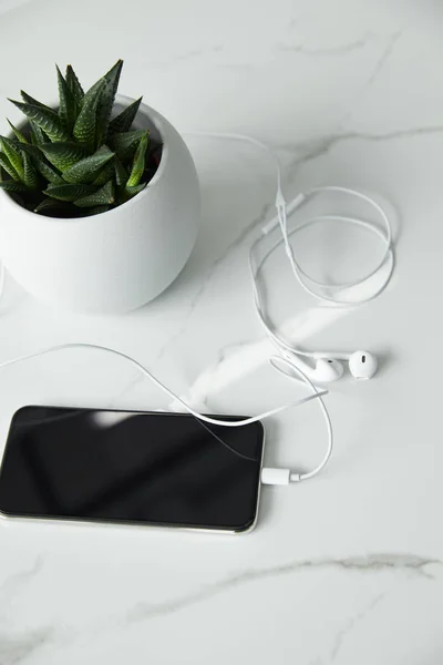 Earphones connected to smartphone with blank screen, and flowerpot on white marble surface — Stock Photo