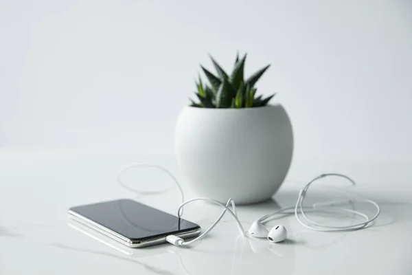 Selective focus of smartphone with earphones and flowerpot isolated on grey — Stock Photo