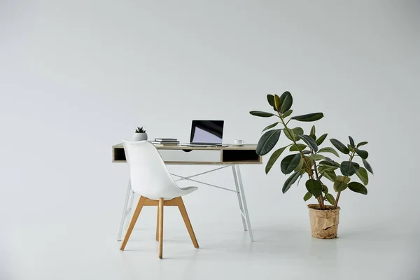 Mesa com laptop e livros, cadeira branca e planta em vaso de flores em fundo cinza — Fotografia de Stock