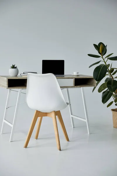 Chaise blanche, table avec ordinateur portable, livres, ficus en pot de fleurs sur gris — Photo de stock