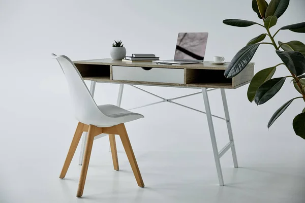 Рабочий стол с ноутбуком, книгами, цветочным горшком и белым стулом на сером — стоковое фото