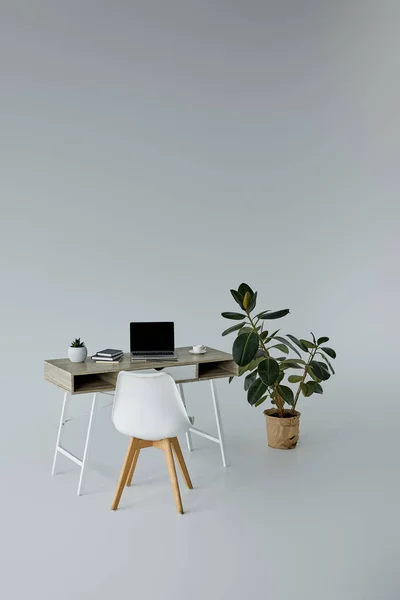 Ficus en pot de fleurs, table avec carnet et chaise blanche sur fond gris — Photo de stock