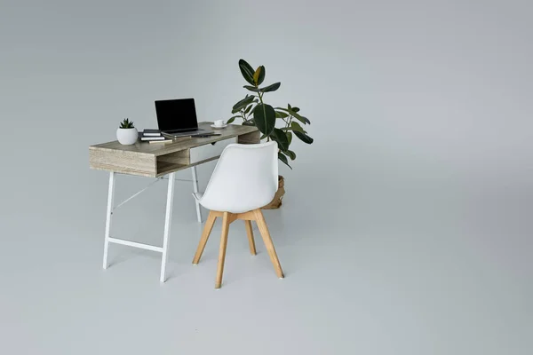 Стол с ноутбуком, фломастером, книгами, зеленым фикусом и белым стулом на сером фоне — стоковое фото