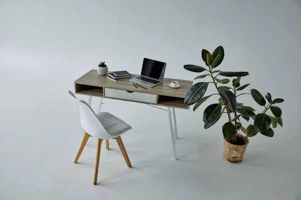 Chaise blanche, ficus en pot de fleurs, table avec ordinateur portable et livres sur gris — Photo de stock