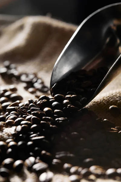 Selective focus of coffee grains and steel scoop on sackcloth — Stock Photo