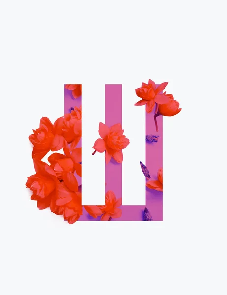 Cyrillic letter with red daffodils on pink background isolated on white — Stock Photo