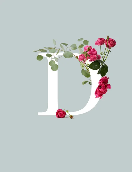 White letter D with pink roses and green leaves isolated on grey — Stock Photo