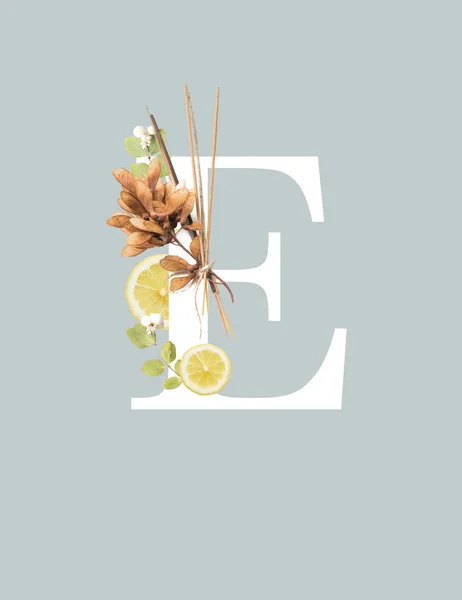 White letter E with dried leaves and lemon slices isolated on grey — Stock Photo