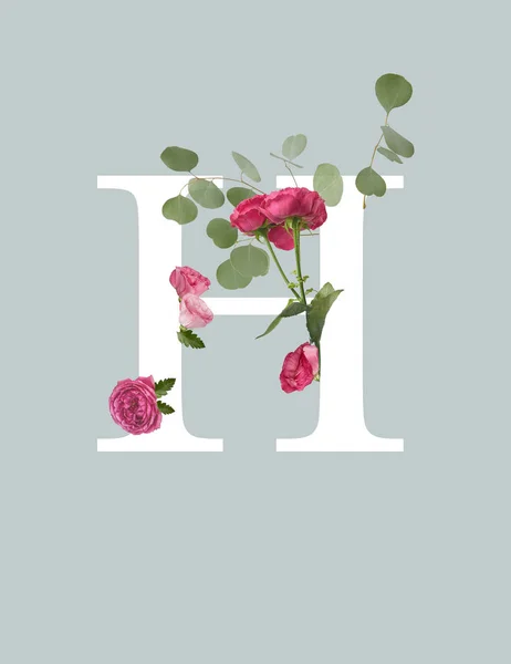 White letter H with pink roses and green leaves isolated on grey — Stock Photo