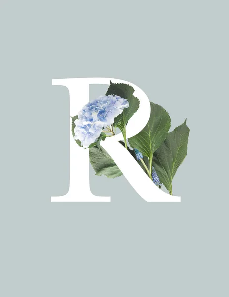 White letter R with blue hydrangea flowers and green leaves isolated on grey — Stock Photo