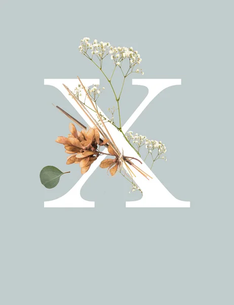 Letra blanca X con flores silvestres aisladas en gris - foto de stock