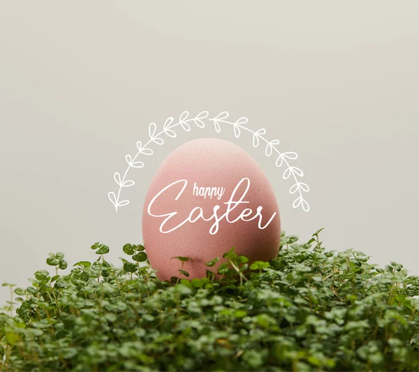 Pink painted chicken egg on green grass with happy Easter illustration on grey background — Stock Photo