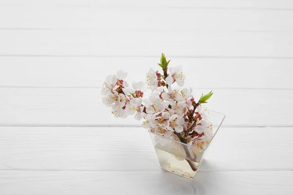 Galhos com flores de damasco em vaso de vidro na mesa de madeira branca com espaço de cópia — Fotografia de Stock
