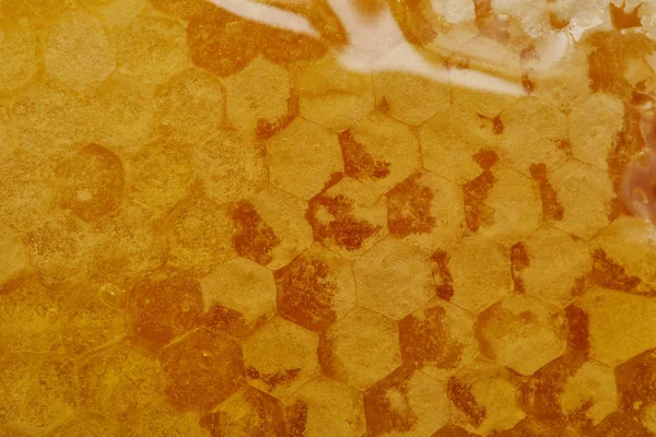 Vista de perto do padrão hexágono em delicioso favo de mel texturizado — Fotografia de Stock