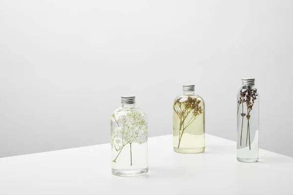 Botellas con cosméticos orgánicos y plantas en el interior sobre mesa blanca sobre fondo gris - foto de stock