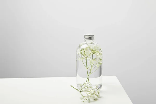 Бутылка с органическим шампунем и полевыми цветами на белом столе на сером фоне — стоковое фото