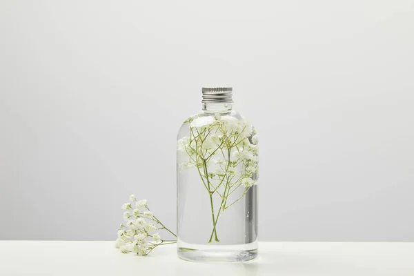 Producto de belleza casero natural con flores silvestres blancas en botella transparente sobre fondo gris - foto de stock