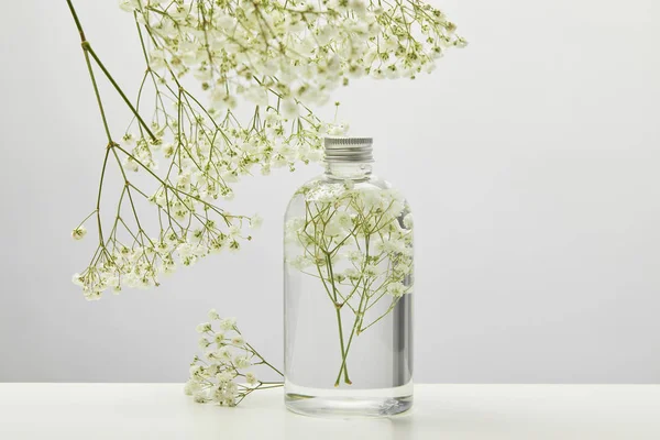 Producto de belleza natural en botella transparente y flores silvestres blancas sobre fondo gris - foto de stock