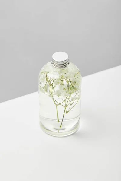 Organic beauty product in transparent bottle with herbs on white table isolated on grey — Stock Photo